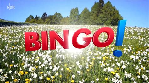 gewinnchancen bingo umweltlotterie